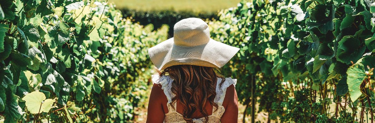 Lady walking through the vines at Adgestone Vineyard